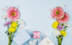Цветы герберы и подарки на голубом фоне, шаблон поздравительной открытки на 8 марта