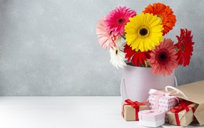 Gerberas with gifts on a gray background, postcard template for March 8