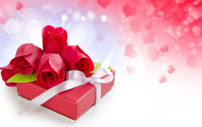 Gift with red roses for international women's day