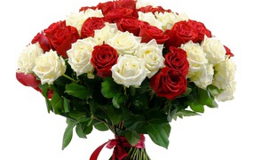 Large bouquet of red and white roses on March 8