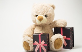 Teddy bear and gifts for March 8 for your beloved