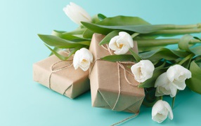 White tulips and gifts on a blue background for International Women's Day on March 8