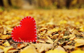Красное сердце из ткани лежит на сухой листве