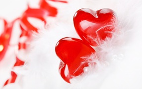 Два красных сердца с белым перьями