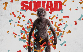 Персонаж Ласка фильм Отряд самоубийц: Миссия навылет, 2021