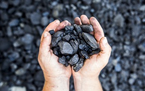 Каменный уголь в  руках у мужчины