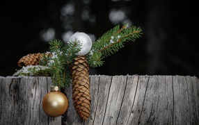 Green spruce branch with a pine cone and a ball on a tree stump