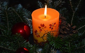 Lighted candle with fir branches