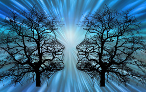 Два силуэта на опавших деревьях