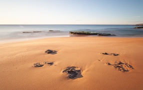 Камни в песке на берегу моря 