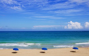 Зонтики на пляже у океана под голубым небом летом