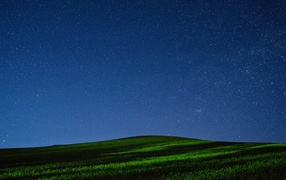 Красивое звездное ночное небо над зеленым полем