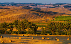 Снопы сена на поле в лучах солнца