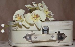 Ветка цветов орхидеи лежит на белом чемодане