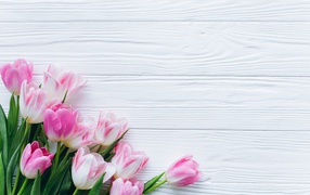 Красивый букет розовых тюльпанов на столе