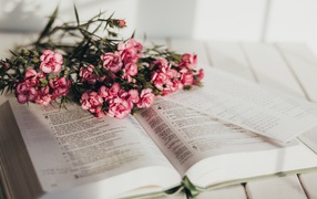 Букет розовых цветов гвоздики лежат на книге