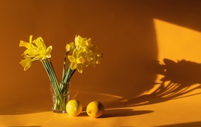 Букет желтых нарциссов с лимонами на столе