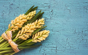 Букет желтых гиацинтов с зелеными листьями на голубом фоне