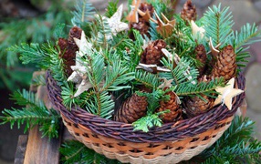 Шишки с ветками ели в корзине 