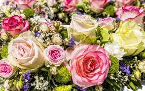 Different types of roses close up