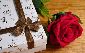 Красный цветок розы на столе с подарком