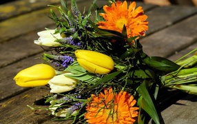 Цветы тюльпана с герберами на лавке