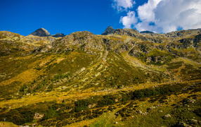 Покрытые зеленью Швейцарские альпы под голубым небом