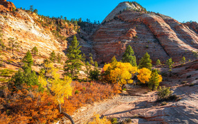 Горы с деревьями в лучах яркого осеннего  солнца 