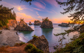 Каменные глыбы с деревьями на побережье в воде 