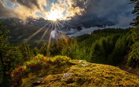 Яркое солнце в темных облаках над лесом в горах