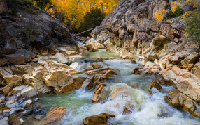 Быстрая холодная горная река бежит по камням