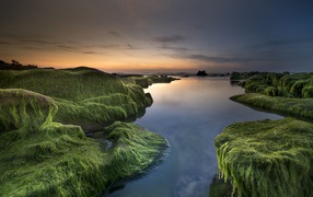 Покрытые зеленью берега у реки на закате солнца