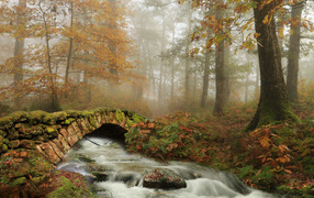 Старый каменный мост через ручей в осеннем лесу 