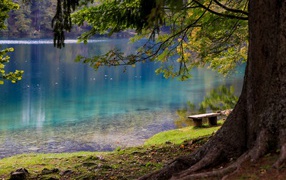 Лавка и деревья на берегу холодного озера