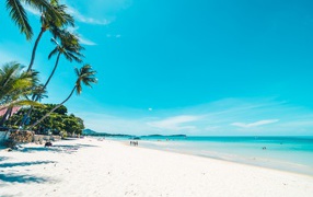 Beautiful blue sky on a tropical white sand beach