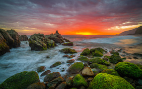 Покрытые зеленым мхом камни на берегу моря