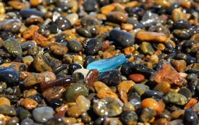 Smooth multicolored small stones on the beach