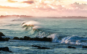Волны на берегу океана в тумане 