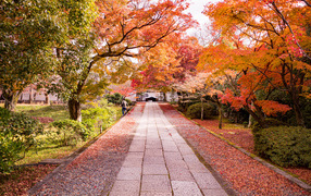 Красивая золотая осень в парке
