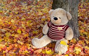 Большой игрушечный медведь сидит на опавших листьях