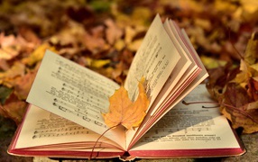 Book with notes on the ground with fallen leaves