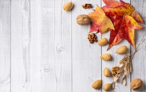 Опавшие листья и орехи на деревянном столе 
