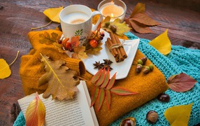 Leaves, sweater, tea and spices on the table