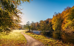 Река в лесу в лучах солнца осенью 