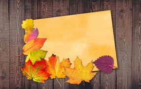 Лист бумаги с осенними листьями на деревянном фоне