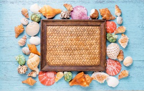Photo frame with seashells on a blue background
