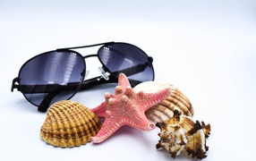 Ракушки, морская звезда и очки на сером фоне