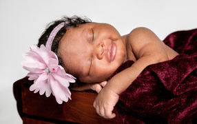 Темнокожая маленькая девочка с розовым цветком на голове 