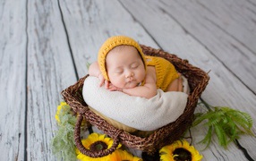 Маленький ребенок спит в плетеной корзине 