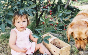 Маленькая девочка сидит под деревом вишни с собакой 